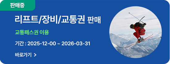하이원 스키 패키지