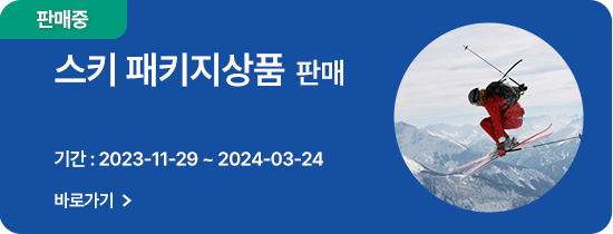 하이원 스키 패키지